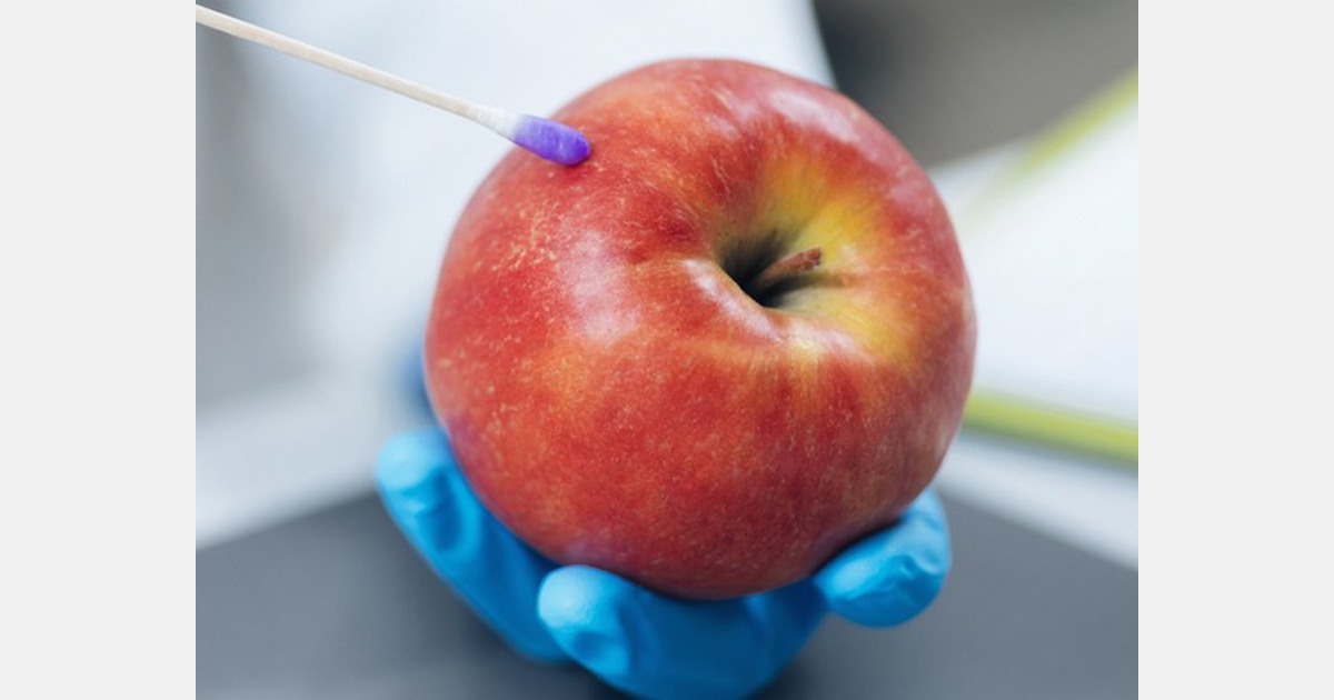 Waimea Plains: Growers believe nitrate levels are affecting color of apples