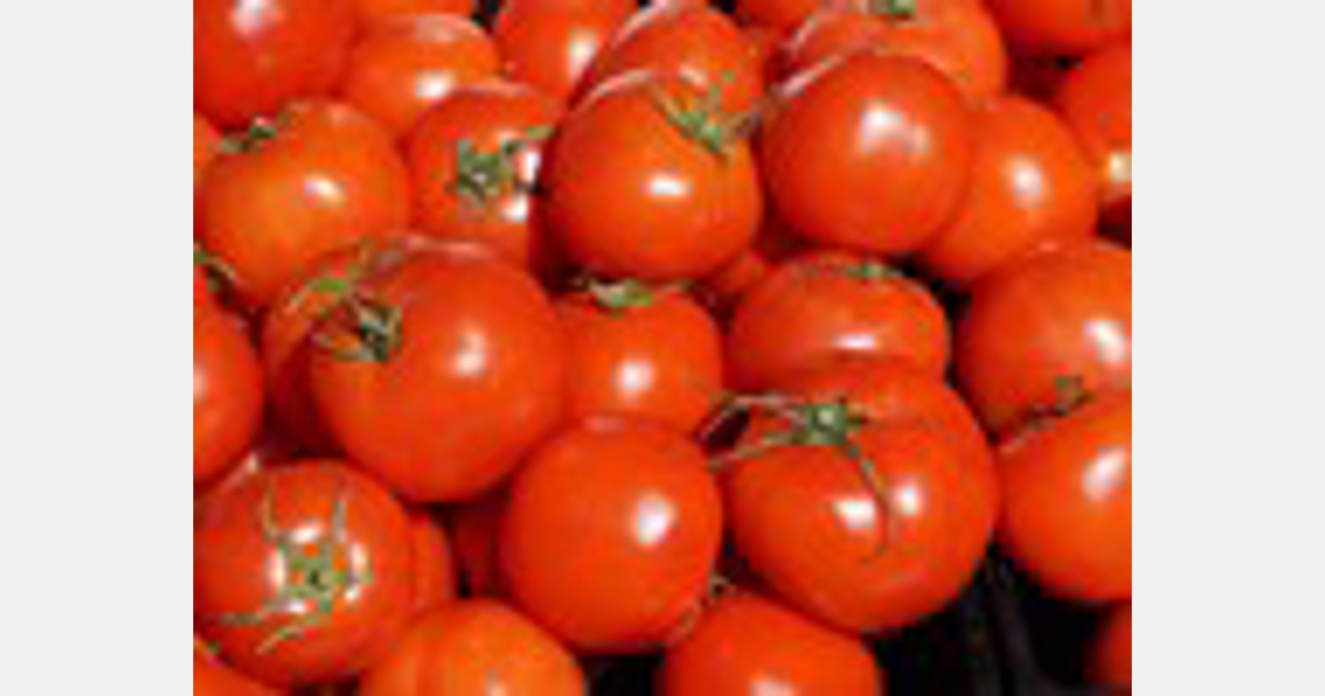 California: Drought impacts tomatoes, onions, garlic and more