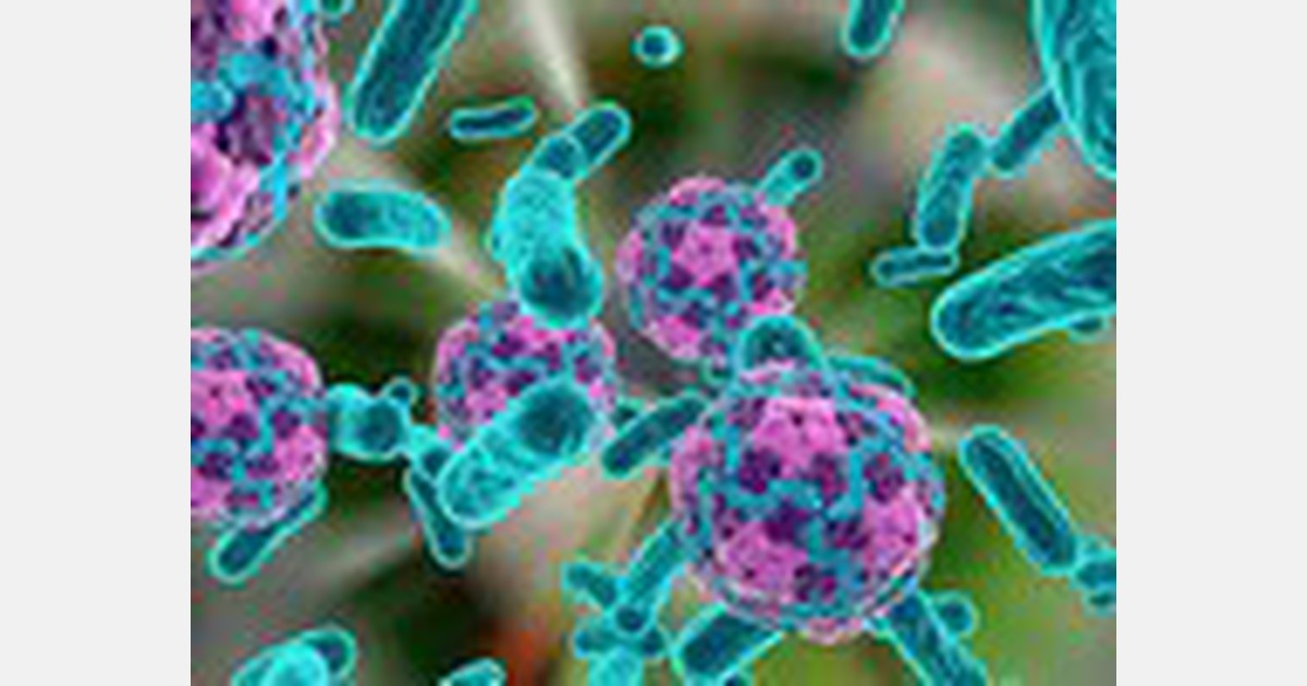 New Zealand: Three more hepatitis A cases in frozen berry outbreak