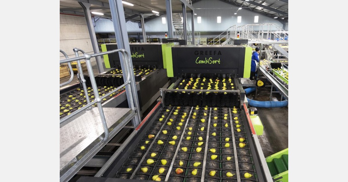 MED Automation and Greefa’s new packing line installation at Ceres