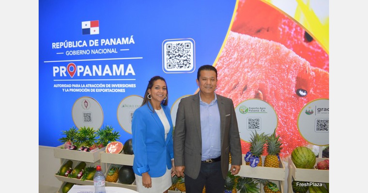 Fresh produce exports from Panama on the increase