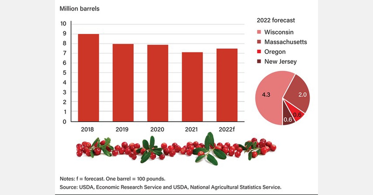 US cranberry harvest expected to be 5 percent larger in 2022