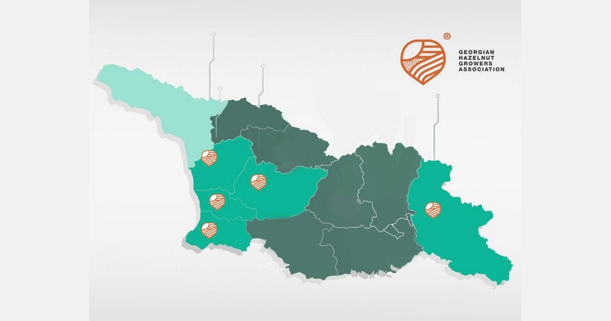 nut growers plan to increase hazelnut production to 100 000