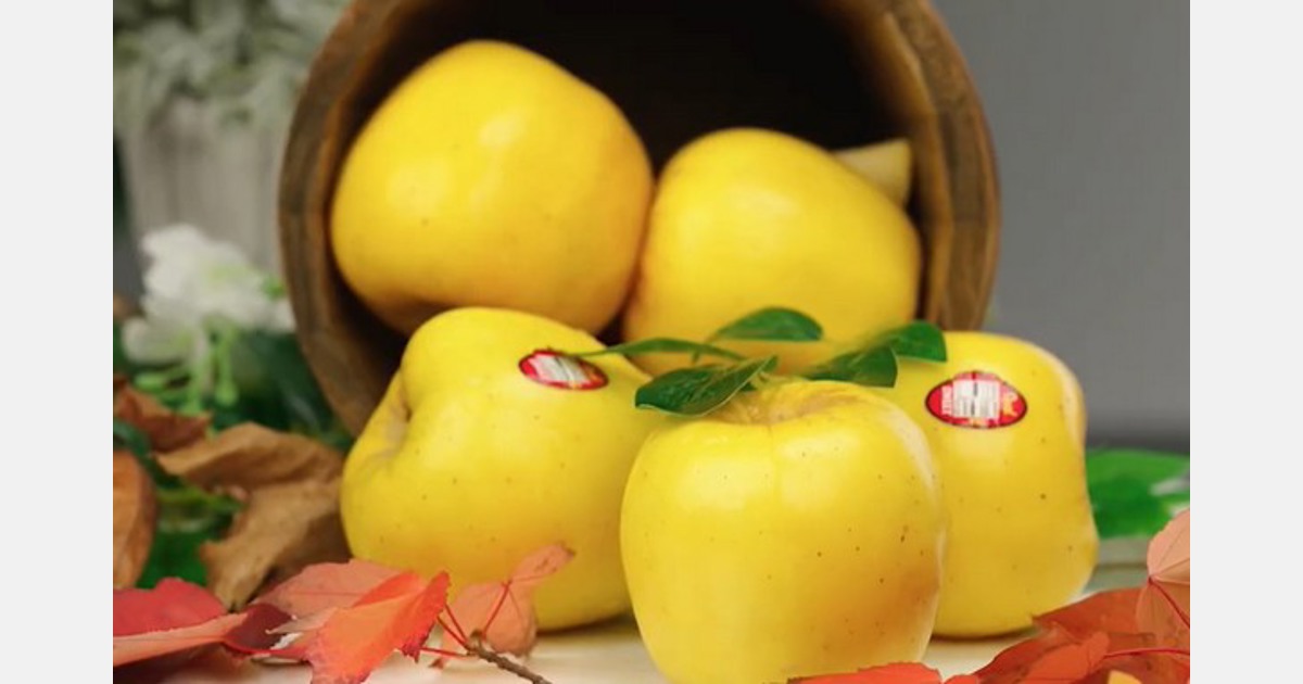 Our Retailers - Where to Buy Yellow Opal Apples
