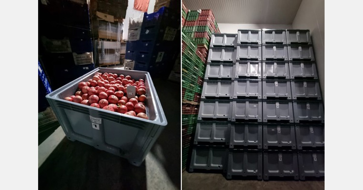 “We extended the shelflife of cherries to 42 days”