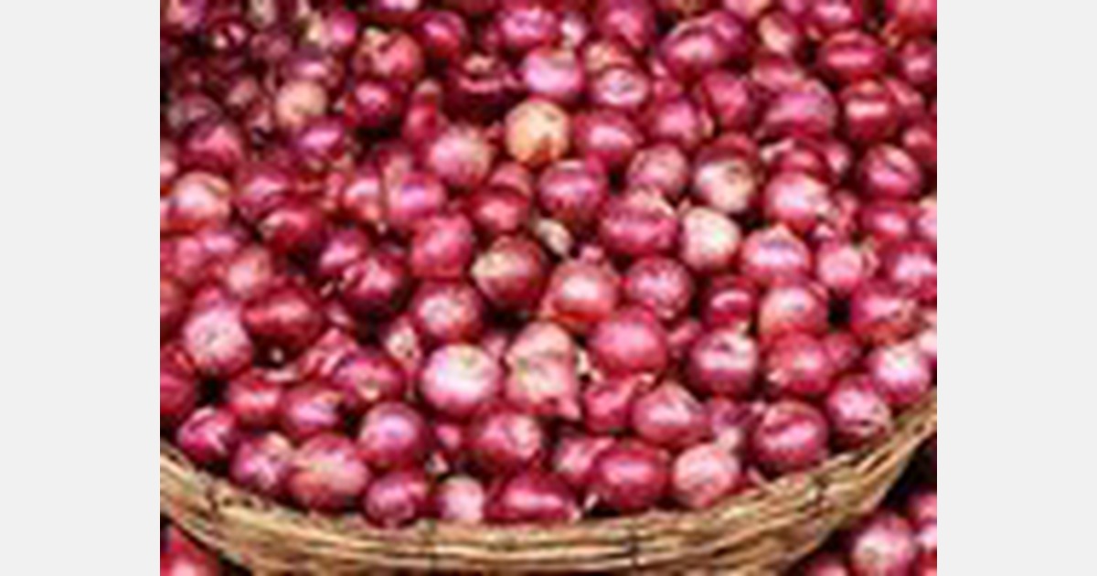 Filippino Department of Agriculture urged to wait for harvest before importing onions