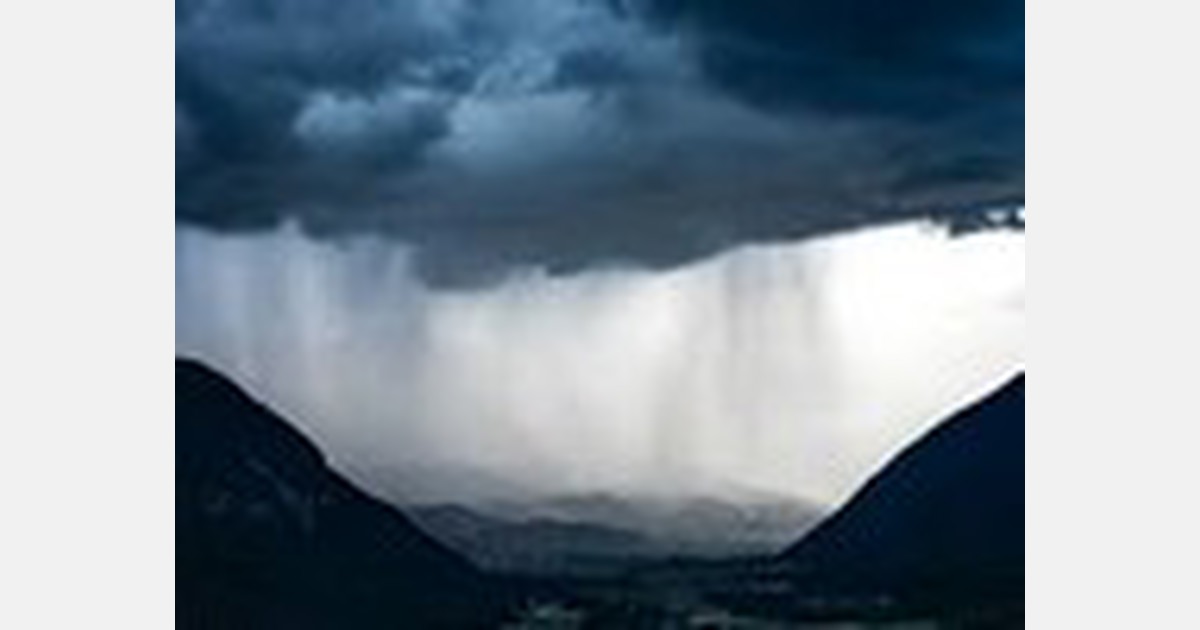 New Zealand: Continued rain delays North Island vegetable harvests