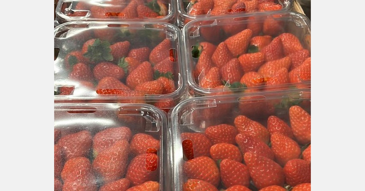 "We will get good arrivals in time for Valentine's Day, when it is always short"