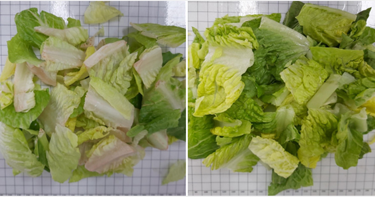 Fewer pinking issues with packed, sliced iceberg lettuce and romaine