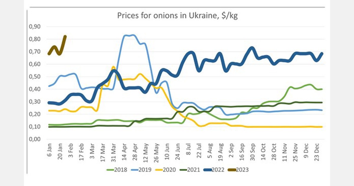 Onion producers in Ukraine may be disappointed with prices in summer 2023