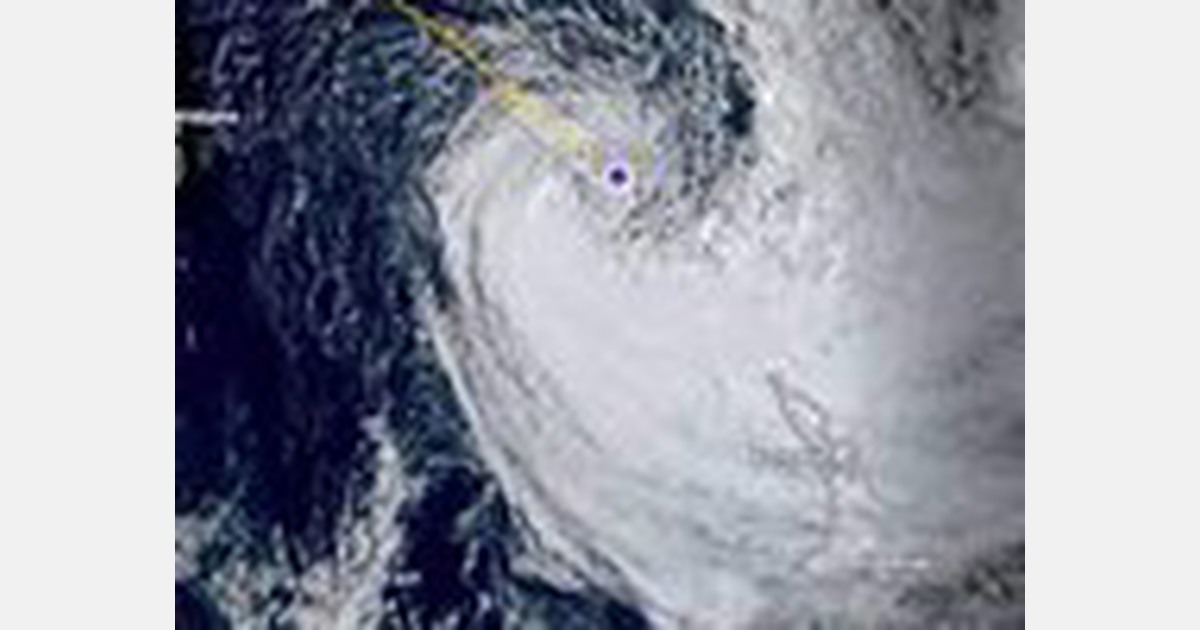 Northland avocado growers heavily affected by Cyclone Gabrielle