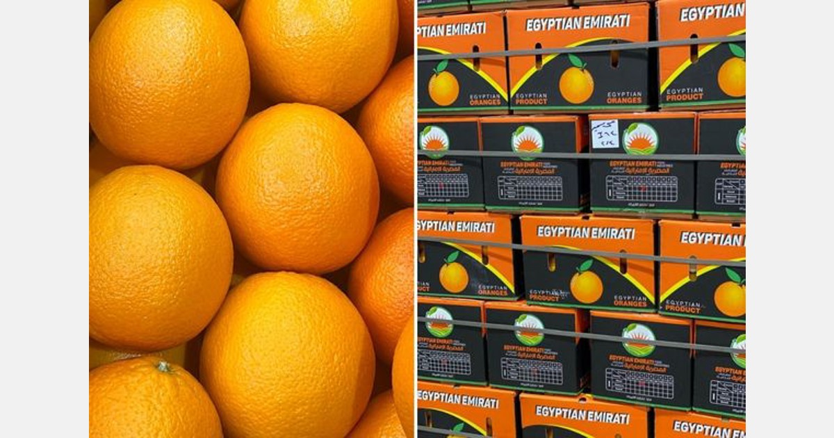 "We are on track to achieve our sales targets for this season"