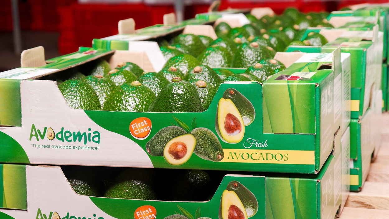 Kenya's peak avocado export season is about to start