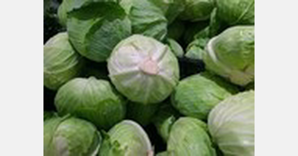 Price of cabbage in Ukraine doubled in a single week