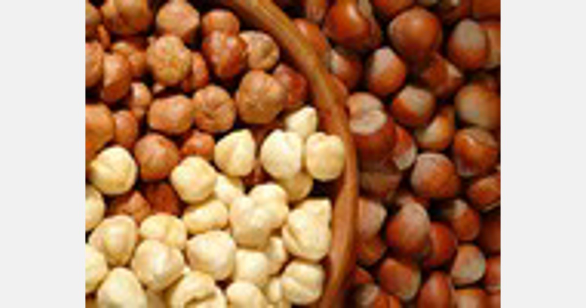 hazelnut exports in February were the highest in the last