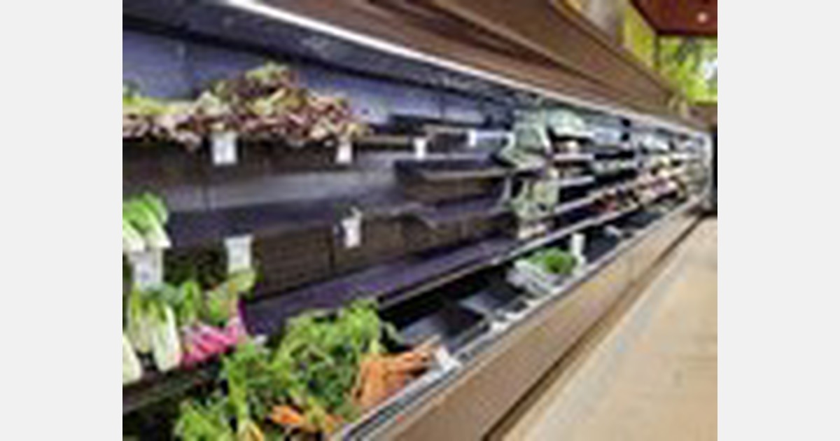 Could African growers alleviate European food shortages?