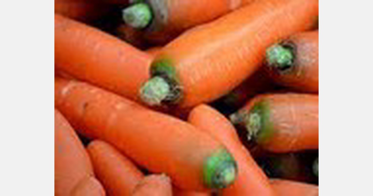 Carrot prices surging in South Africa