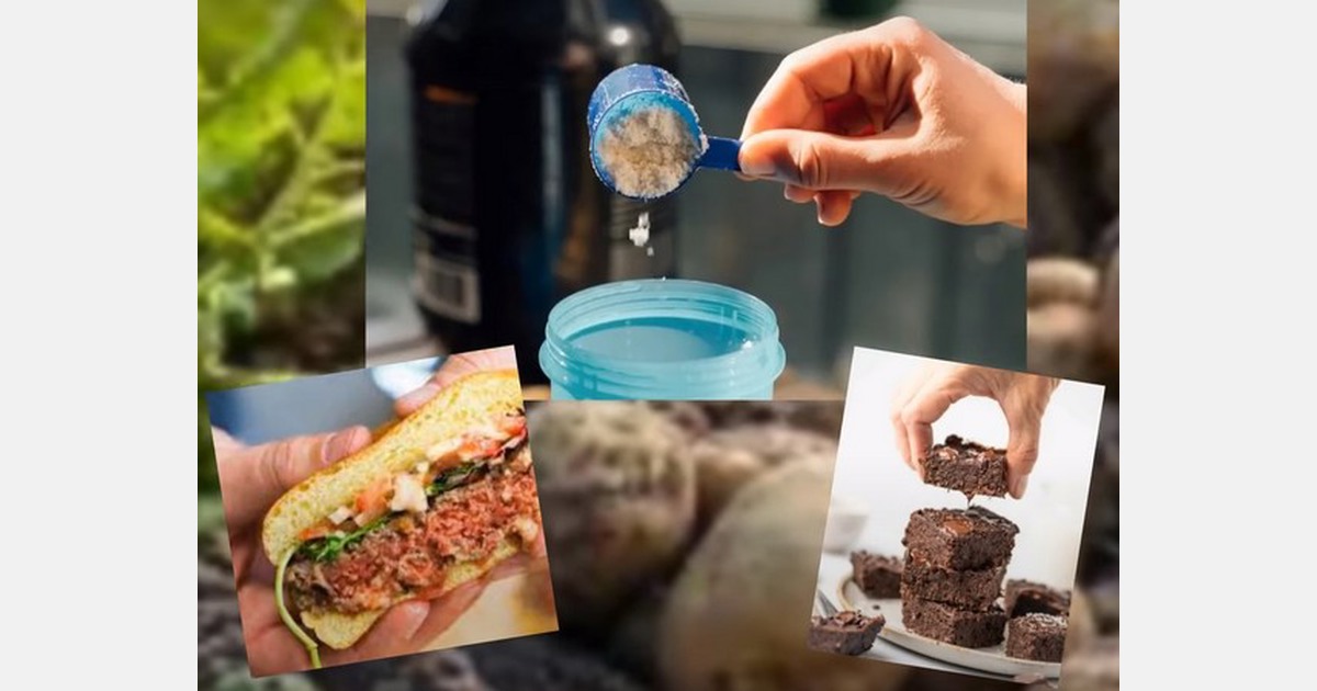 Potato Protein+Plus said to be a plant based replacement for eggs