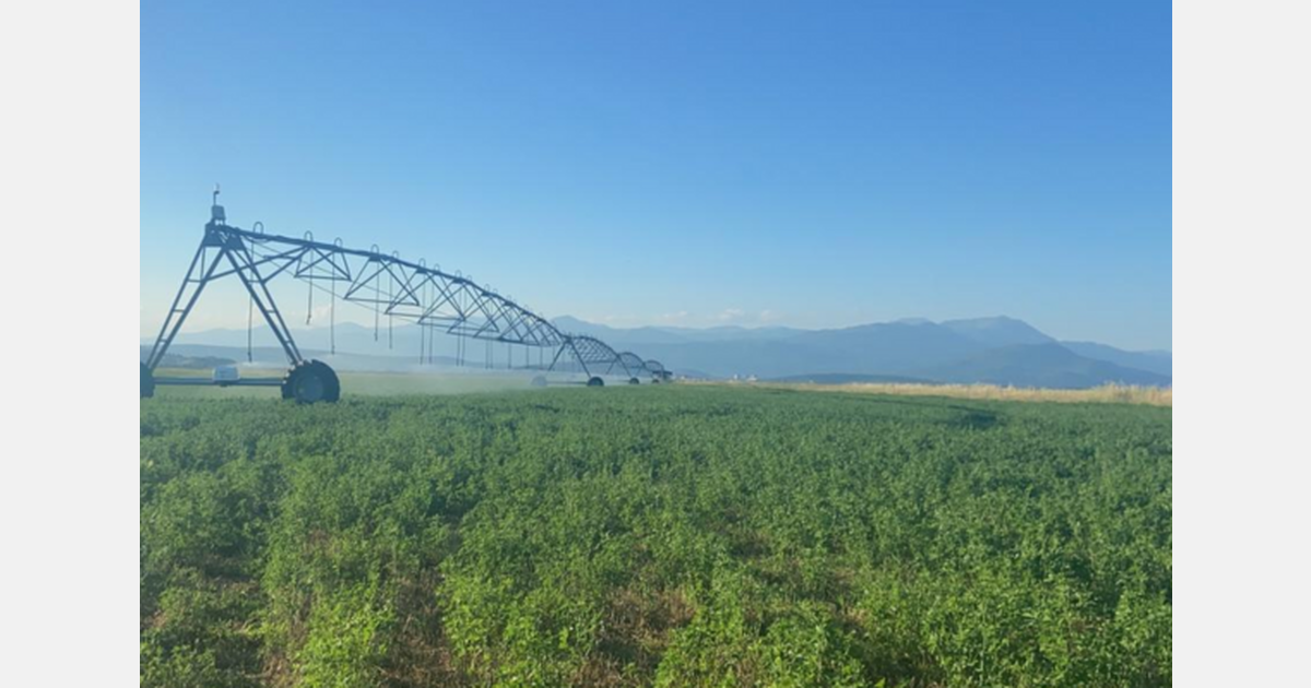 North African group relocates part of its production to Montenegro