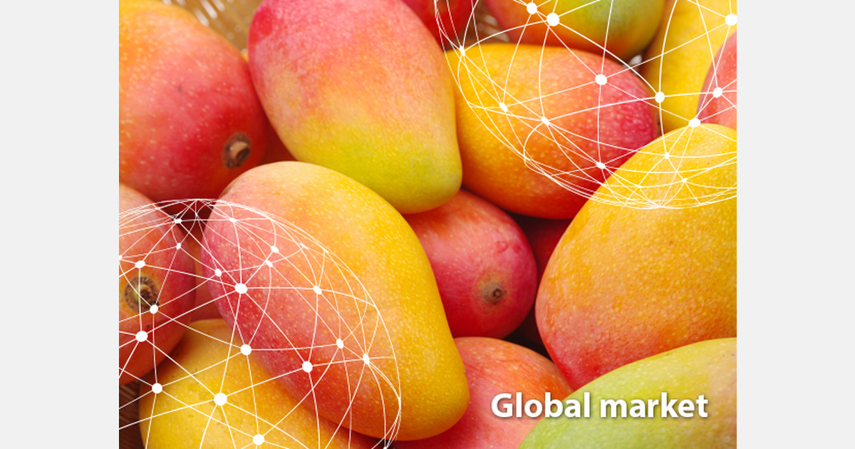 GLOBAL MARKET OVERVIEW MANGOES