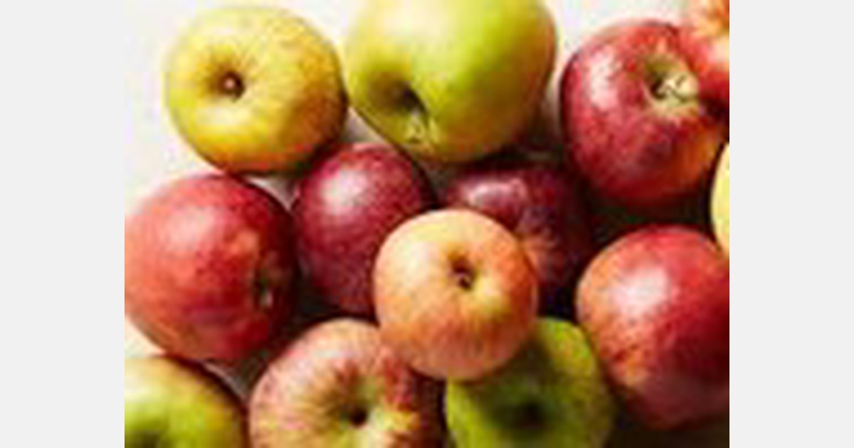 Apple import restrictions get mixed response from growers Jammu & Kashmir