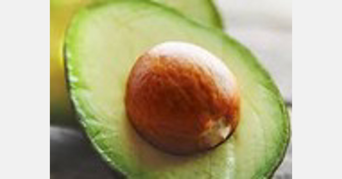Chitosan-based avocado coating might improve shelf life Export