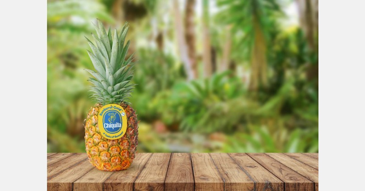 New Sunburst Gold pineapple debuts Export