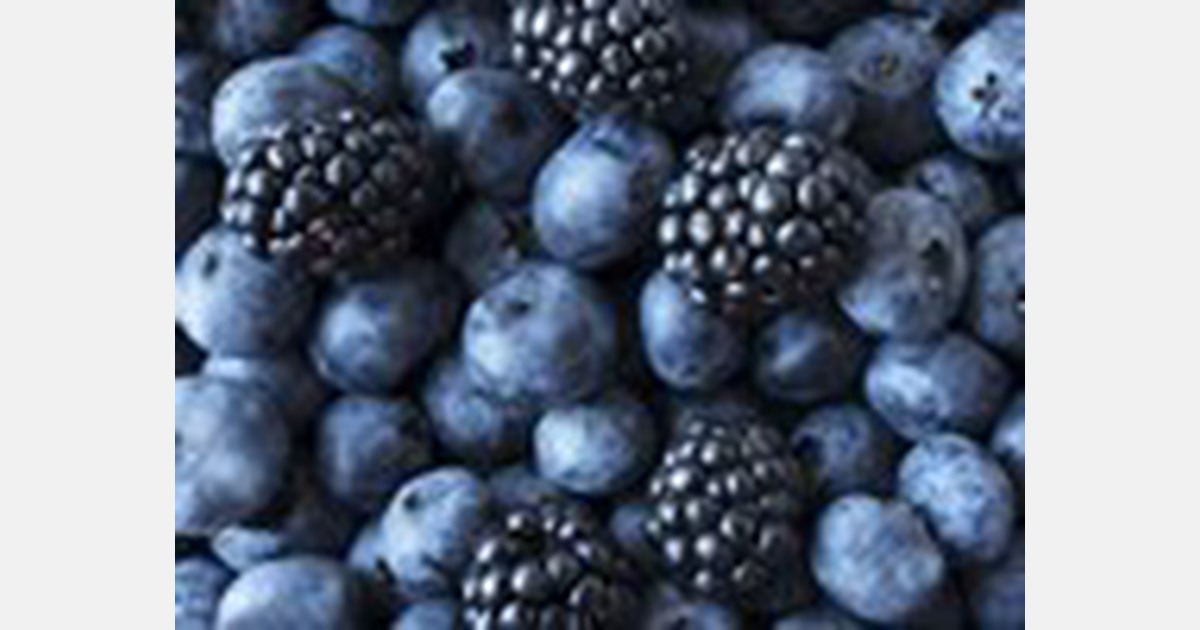 Conditions improve for blueberries, blackberries and other fruits