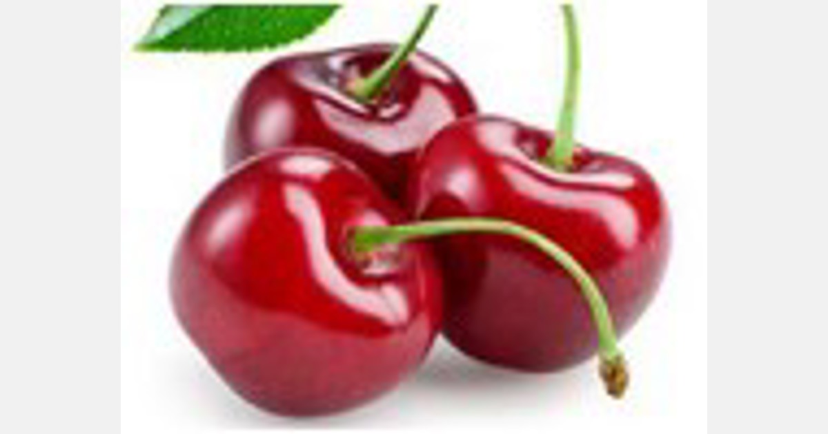 “Russia and the Far East are the most important markets for our cherries” Export