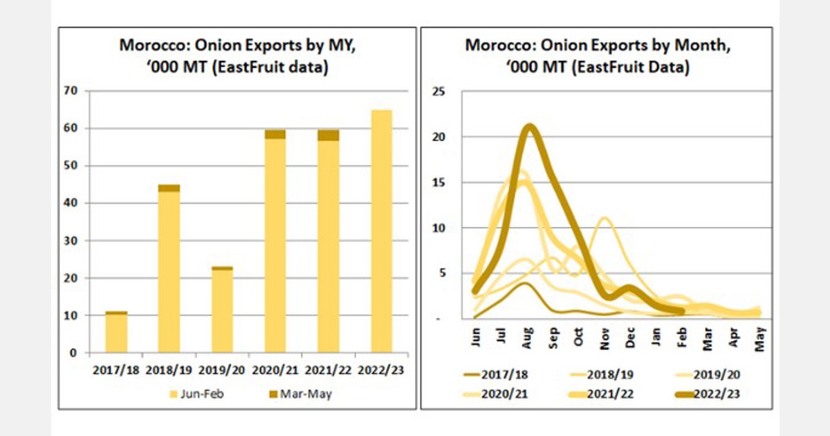 Moroccan onion exports up despite serious drought Export