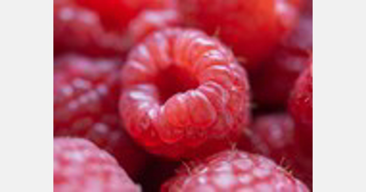 Early raspberries hit the shelves in Uzbekistan at affordable prices Export
