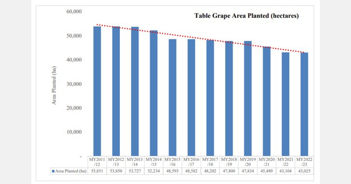 FAS Santiago estimates table grape production to drop by 8.6 percent in MY 2022/23 Export
