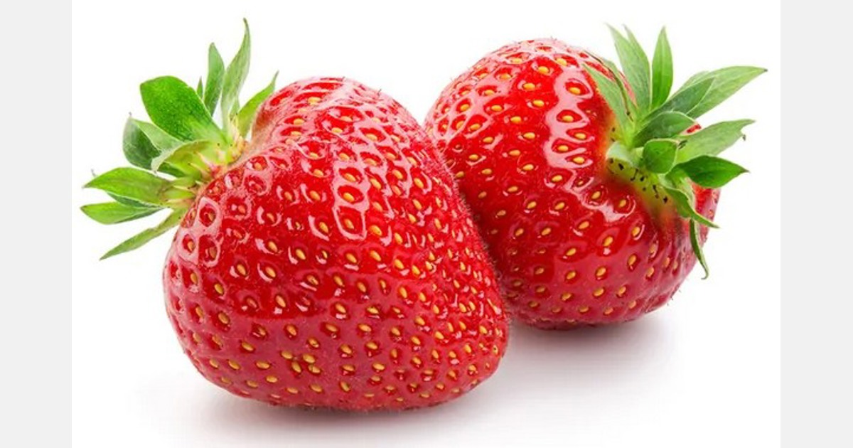 Edible CBD coating could extend the shelf life of strawberries Export