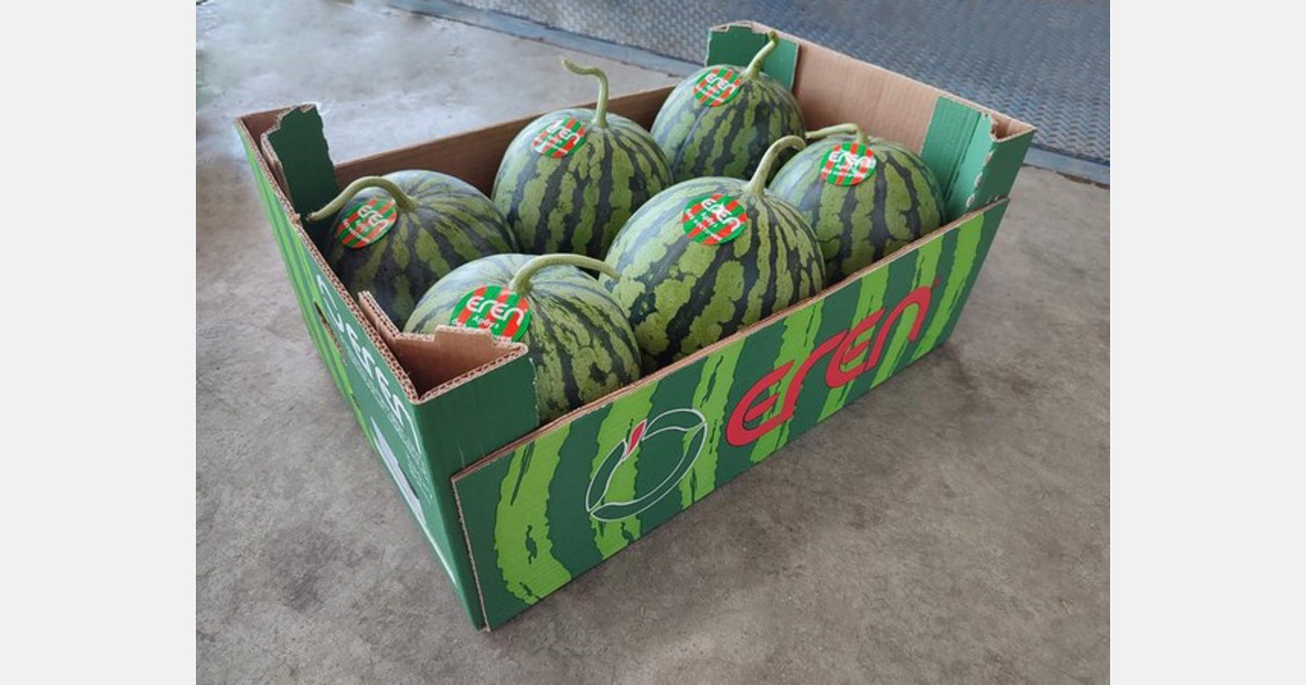 Fierce competition for Turkish watermelons Export