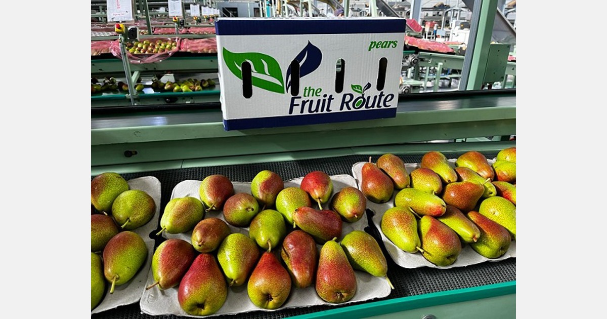 Strong pomefruit campaign a felicitous touch to a decade in fruit trade Export