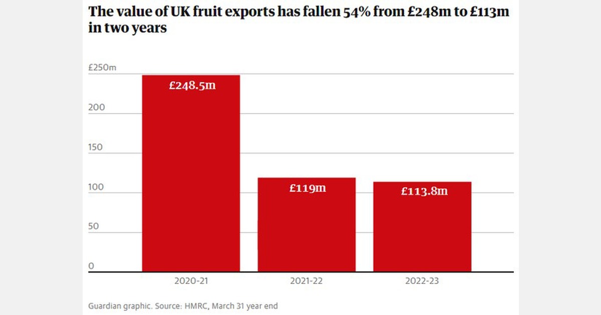 UK fruit exports to the EU down by more than half since Brexit