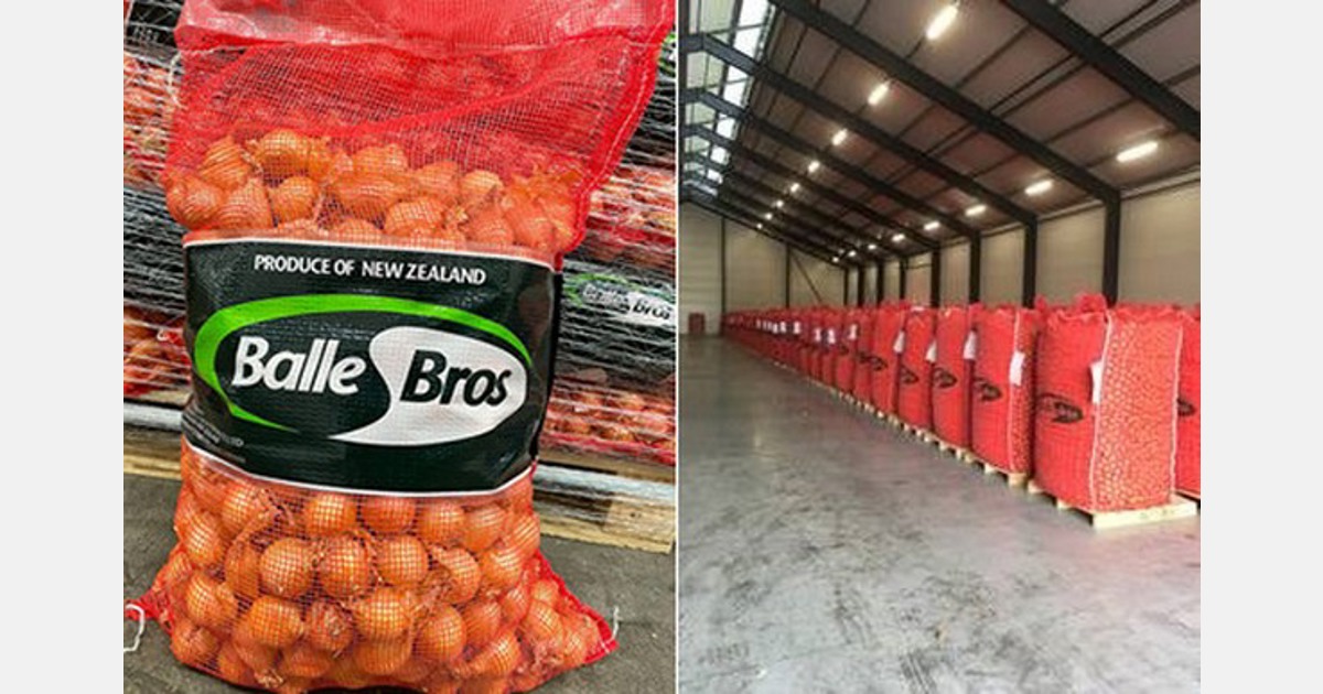 Better returns, but lower yields and higher costs for New Zealand onions