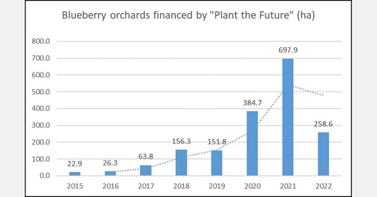 wants to a global blueberry market player