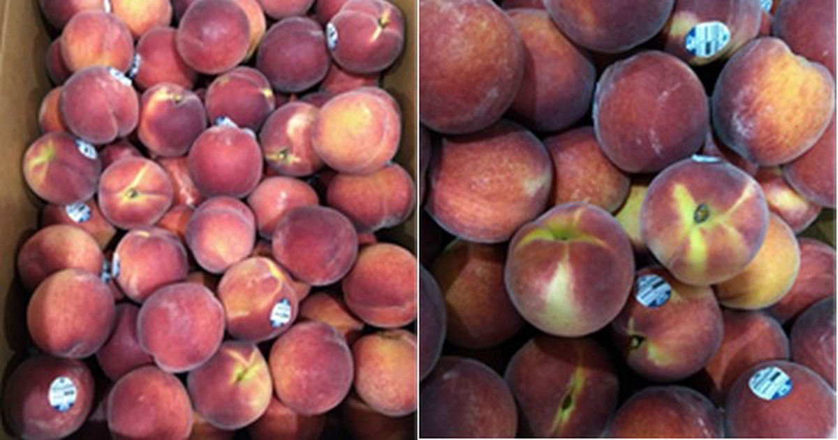 Historical high pricing on South Carolina peaches