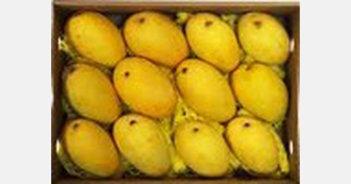 Exports of mangoes from India to US more than doubled YoY in the current season