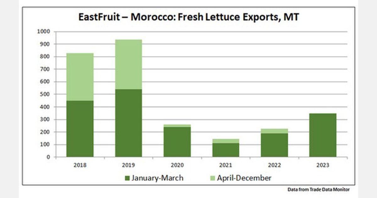 Les exportations marocaines de laitue vers la France ont atteint un niveau record au premier trimestre 2023