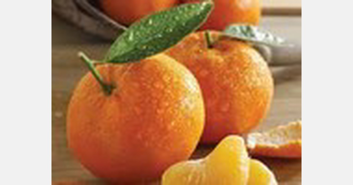 Australian tangerine prices halved in Vietnam