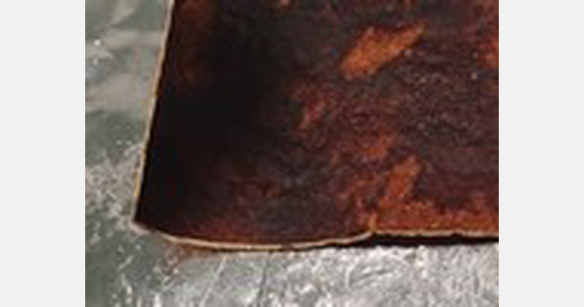 New Zealand firm strives to make handbags out of mushrooms