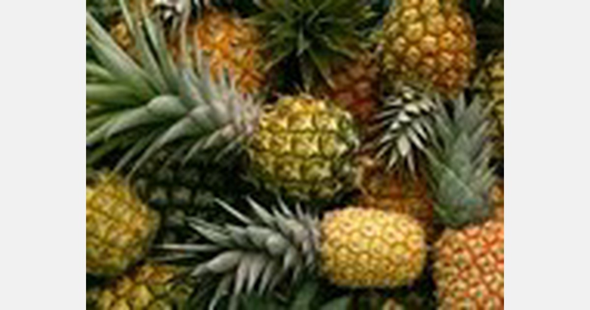 Pineapple prices up slightly in Malaysia