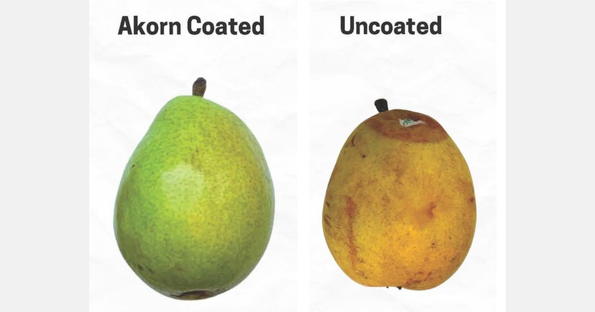 Our affordable, 100 natural shelflife extension coatings are