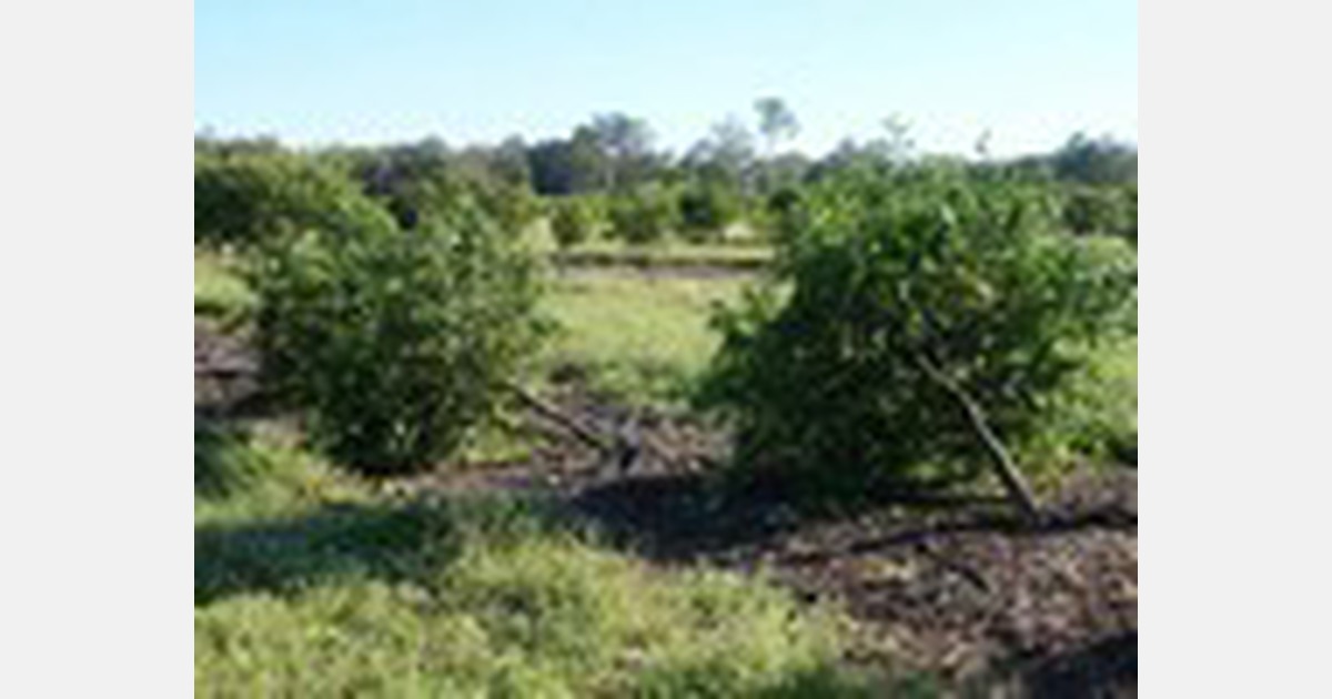 Fair access to Agriculture Disaster Programs Act introduced