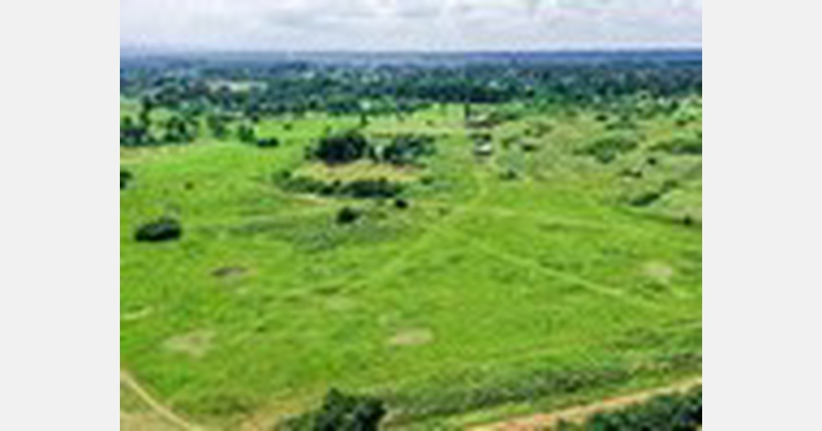 Kenyan agri counties set to benefit from state-backed industrial parks