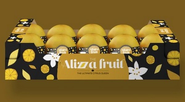 FRUiTS 2018年　8〜12月号 5冊セット FRUiTS 2018年 8〜12月号 5冊セット FRUiTS 2018年 8〜