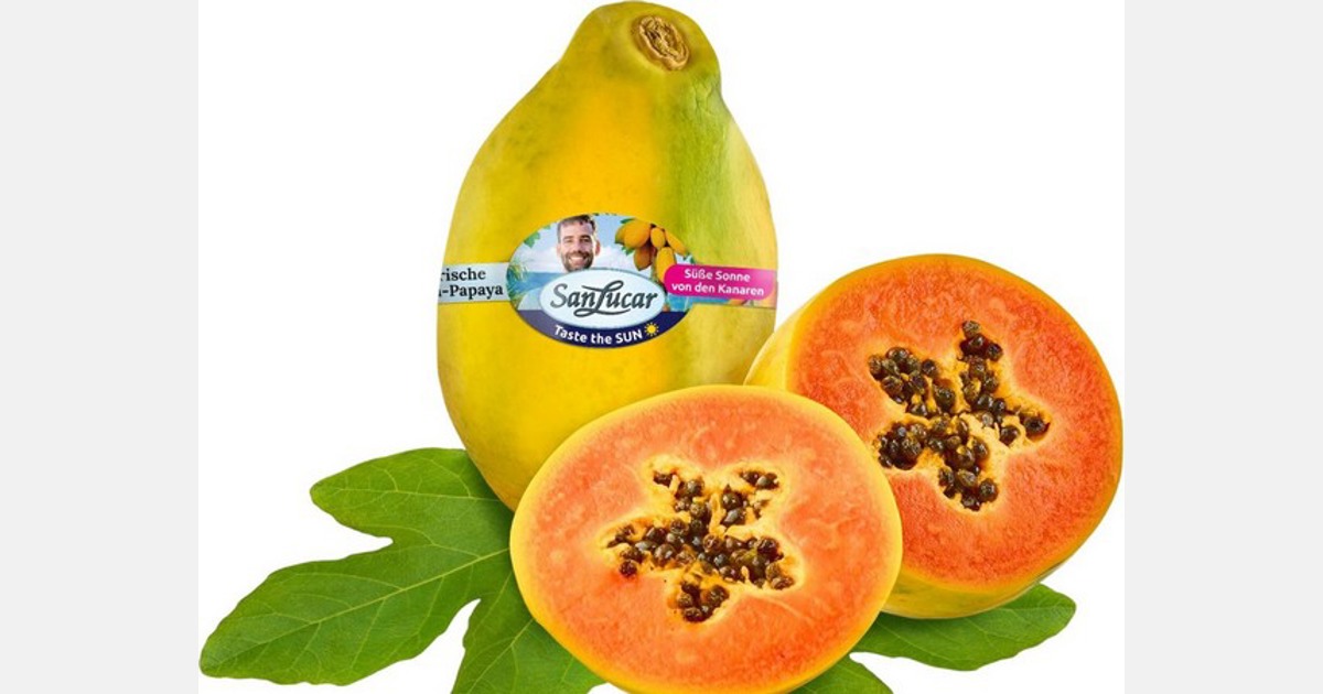 La empresa española importa papaya de Canarias para abastecer a Alemania y Austria
