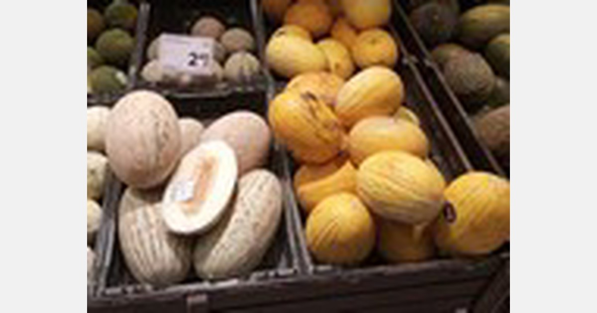 Melons from Uzbekistan vs Spanish melons in the supermarkets of Latvia